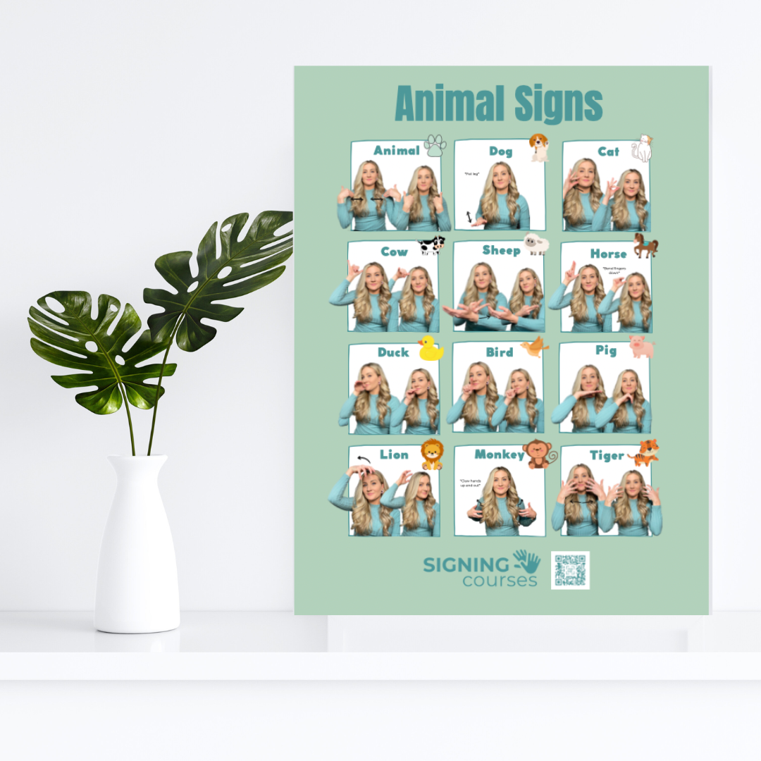 Simple Signs Curriculum Digital Download Package