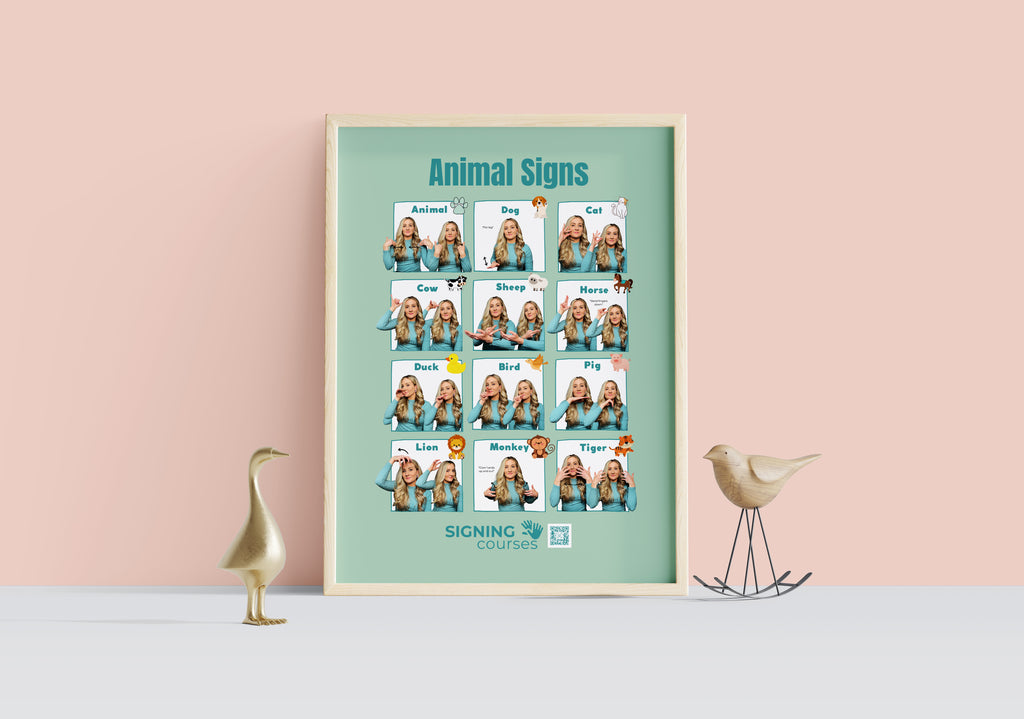 Simple Signs Curriculum Digital Download Package